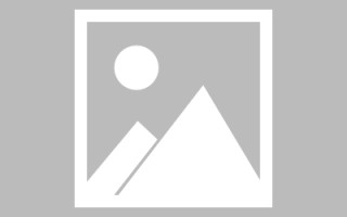 泗洪新区景区网站建设（in art criticism,you must assume）